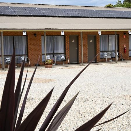 Holbrook Town Centre Motor Inn Luaran gambar